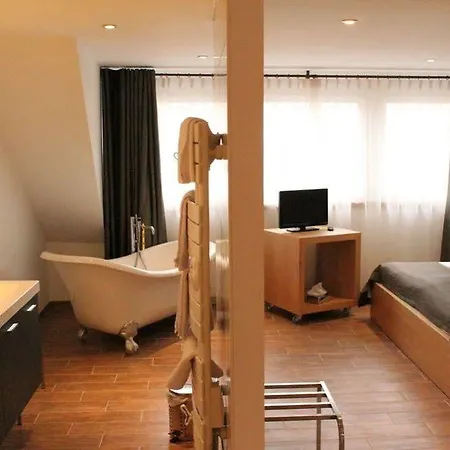 Art Hotel Kaysersberg-Vignoble