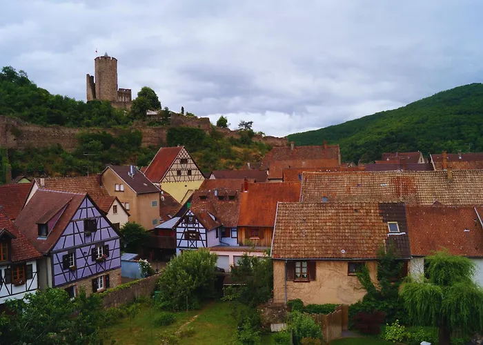 Art Hotel Kaysersberg-Vignoble